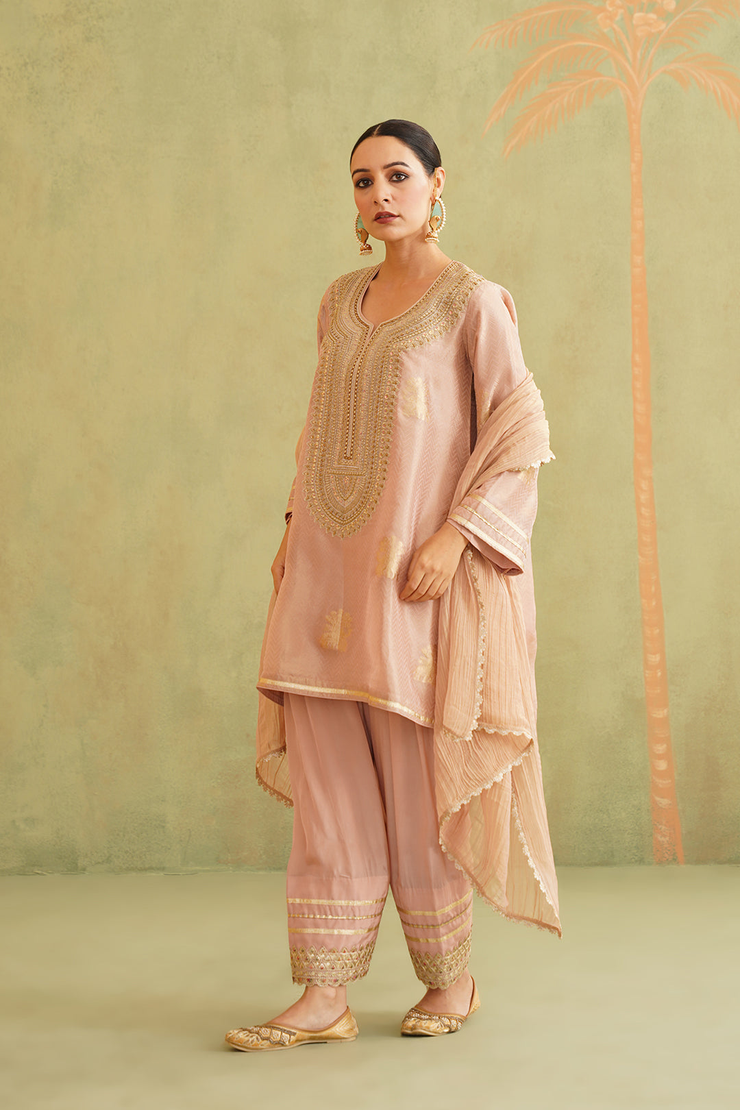 Zari Embroidered Suit Set