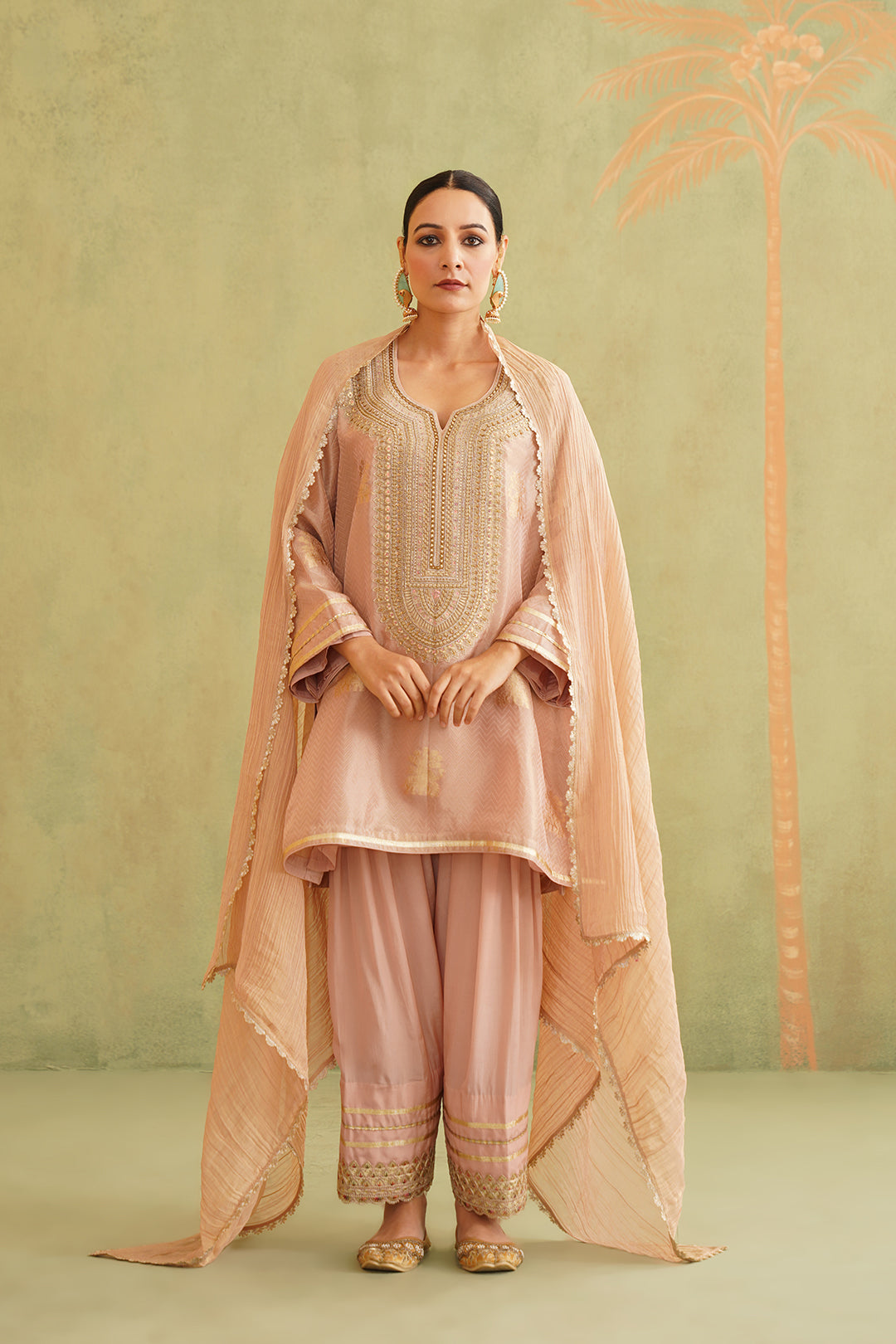 Zari Embroidered Suit Set