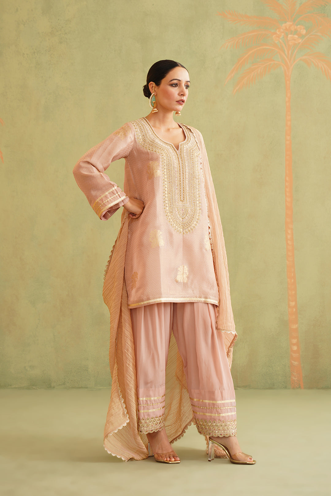 Zari Embroidered Suit Set