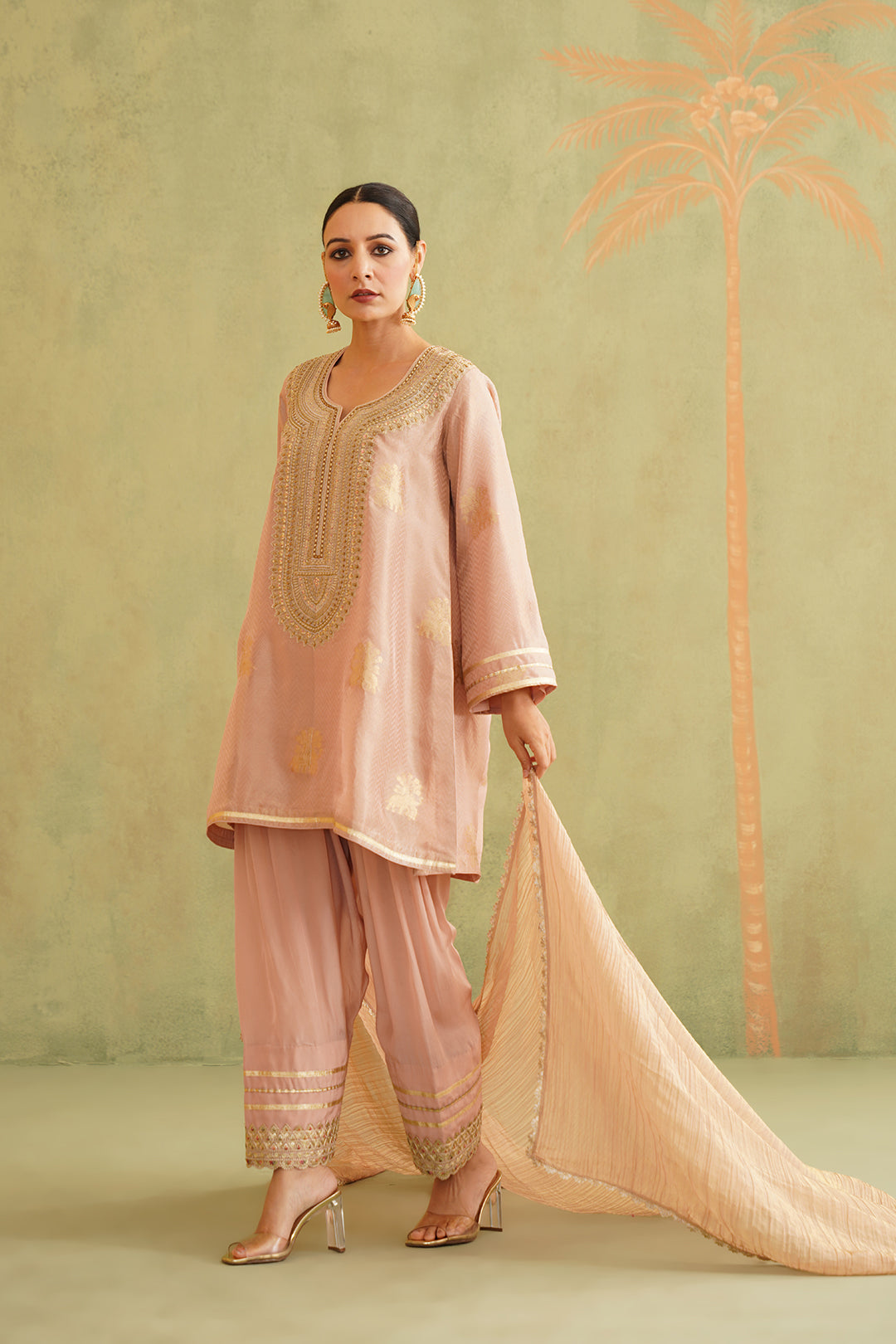 Zari Embroidered Suit Set